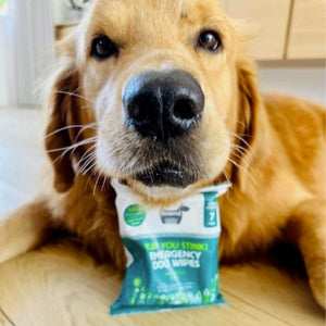 Fanos, all dogs matter with HOWND Biodegradable Eco Dog Travel Wipes