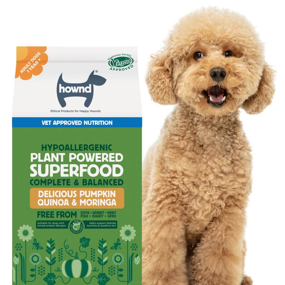 Delicious Pumpkin Quinoa Moringa Hypoallergenic Dry Dog Food - with dog