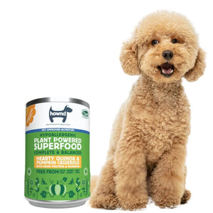 hownd quinoa wet vegan dog food for allergies