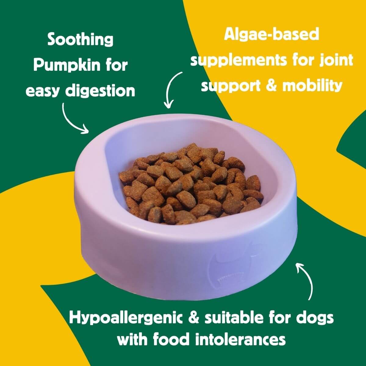 Pumpkin Superfood Hypoallergenic Vegan Dog Food_ health benefits