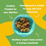 hownd superfood quinoa pumpkin_health benefits