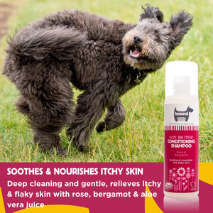 hownd dog shampoo for itchy skin