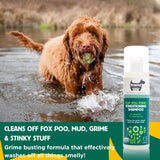 hownd natural dog shampoo and conditioner for smelly dogs