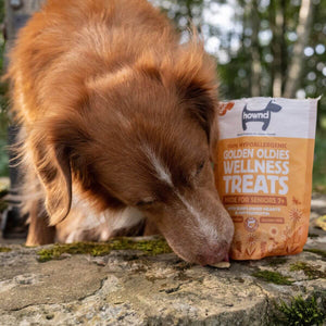 hownd hypoallergenic vegan dog senior wellness treats