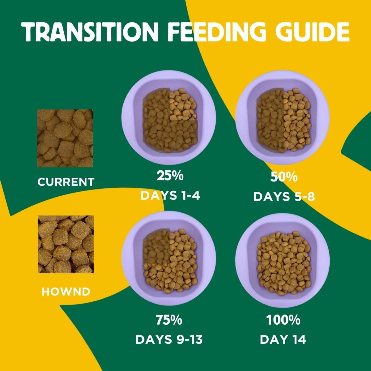 vegan dog feeding guide for pumpkin dry hownd superfood