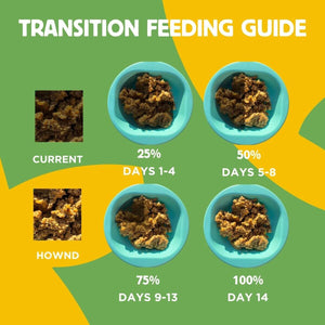 hownd quinoa vegan dog food transition guide