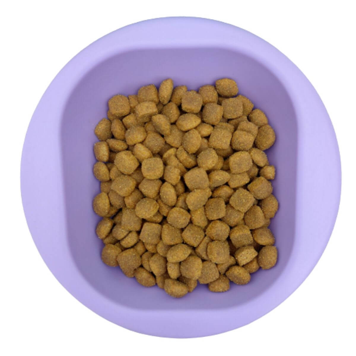 Hownd Hypoallergenic Vegan dry dog food, Plant Powered Moringa in a bowl