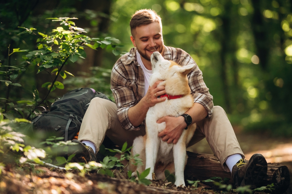 How can dogs help with mental health?