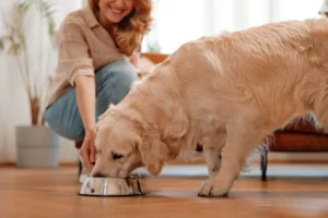 UK Pet Food Association Supports Complete Vegan Diets for Dogs
