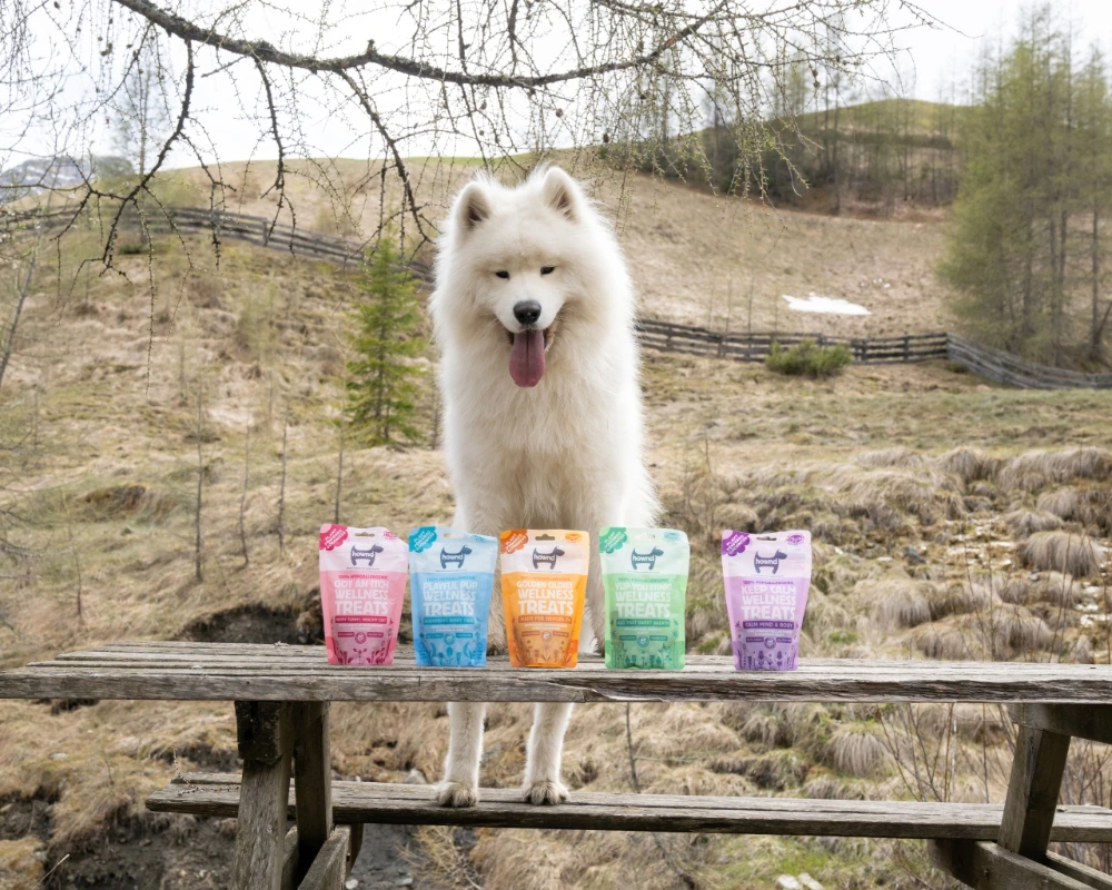What are Hypoallergenic Dog Treats?