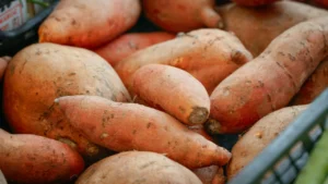 Why Sweet Potatoes Deserve a Spot in Your Dog’s Diet