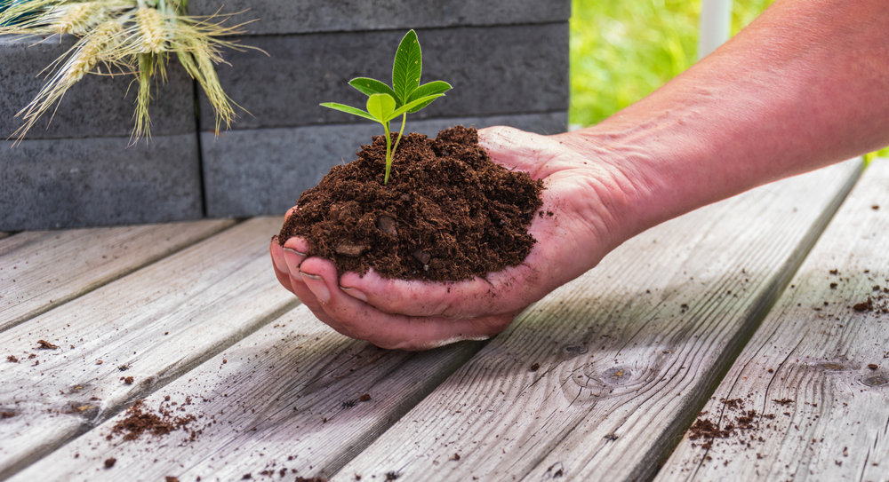 Celebrate Earth Month with HOWND this April