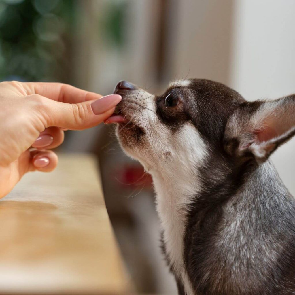 What are Hypoallergenic Dog Treats HOWND