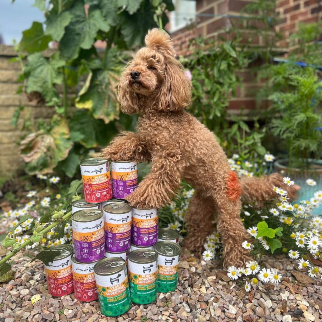 Hypoallergenic dog food – what is it, and what are the benefits?