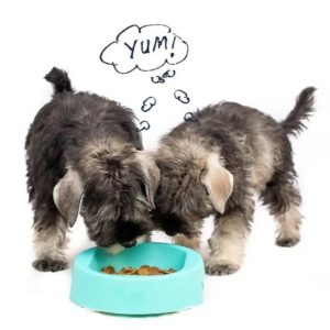 How Ethical is Vegan Dog Food?