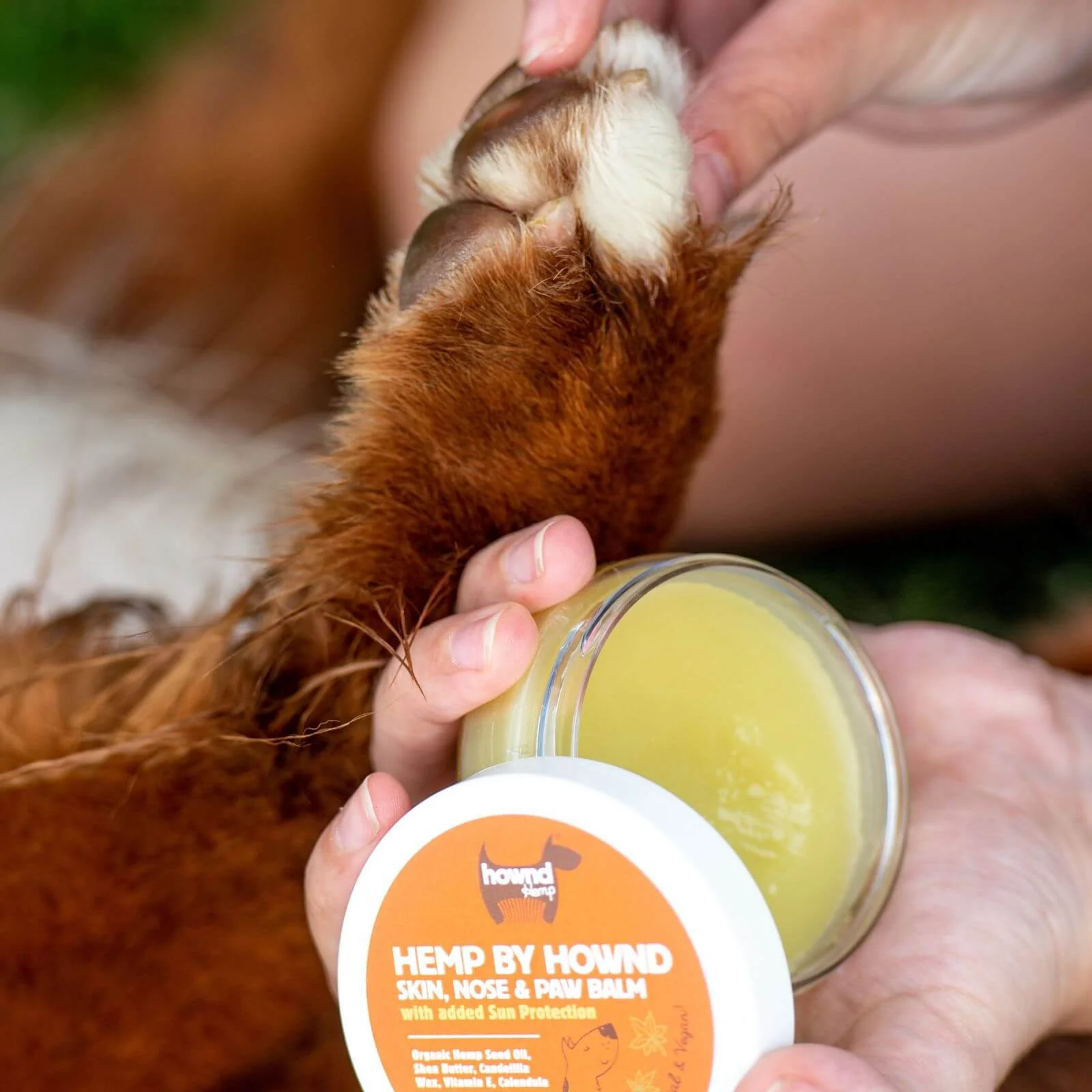 Professional Skin, Paw & Nose balms for Dogs | Vegan | Hownd