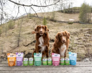 Is Plant-Based Dog Food Suitable for all Breeds?