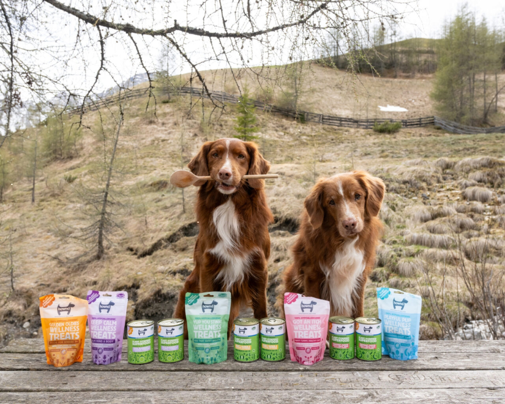 Is Plant-Based Dog Food Suitable for all Breeds?